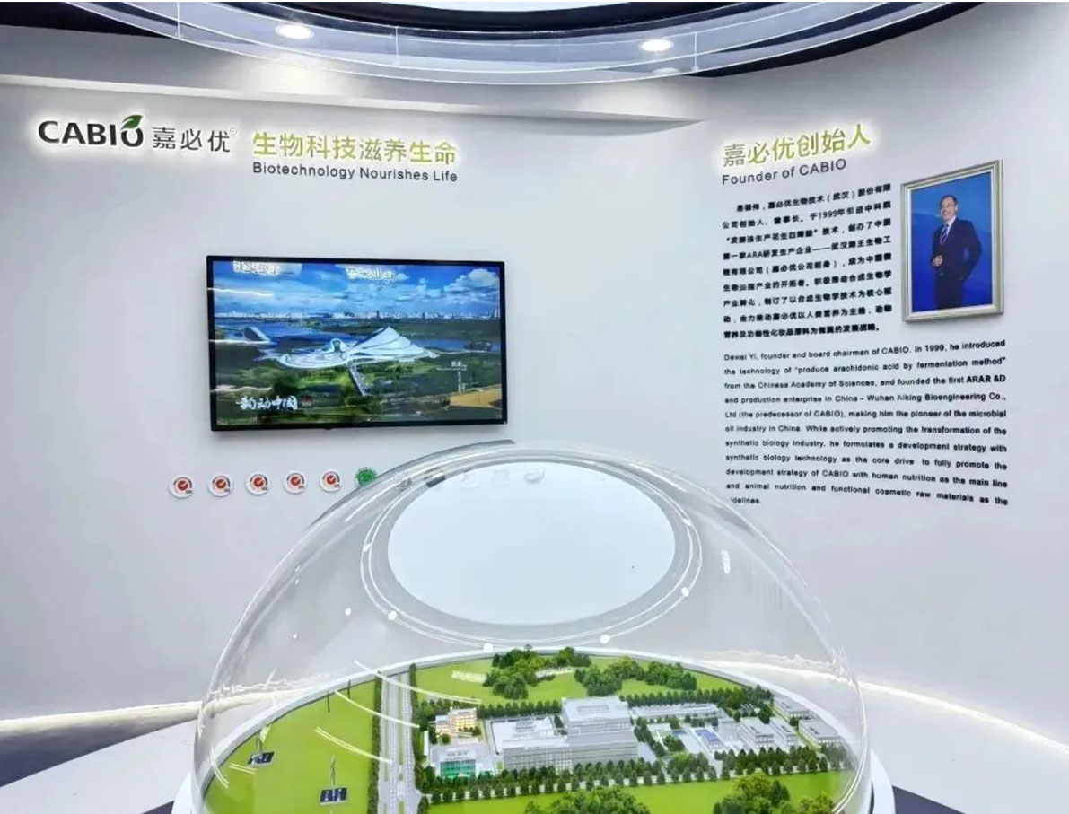 香港码宝典资料大全