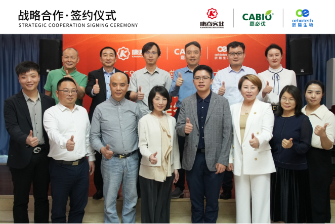 香港码宝典资料大全